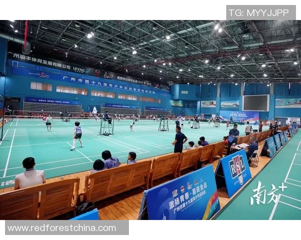 广州羽毛球队整体压制现象解析及其对赛事的影响分析